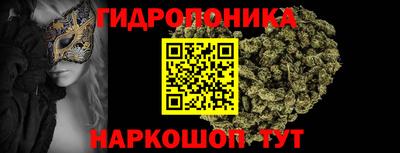 PSILOCYBIN Обнинск