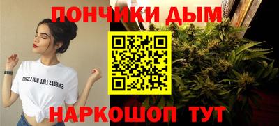 крисы Обь